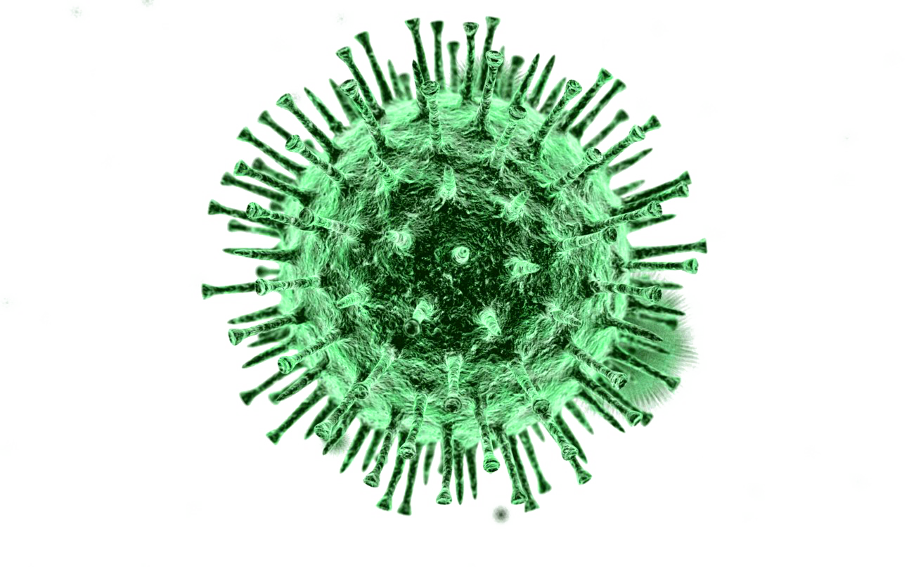 Virus Covid-19 Free Download Image PNG Image