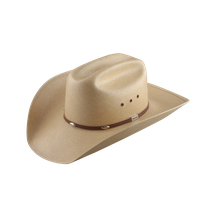 Cowboy Hat png download - 1200*1200 - Free Transparent Fedora png Download.  - CleanPNG / KissPNG