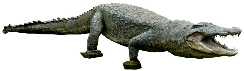 Crocodile Png Clipart PNG Image