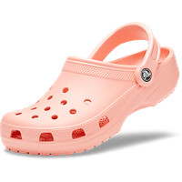 Crocs PNG