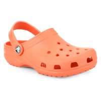 Crocs PNG