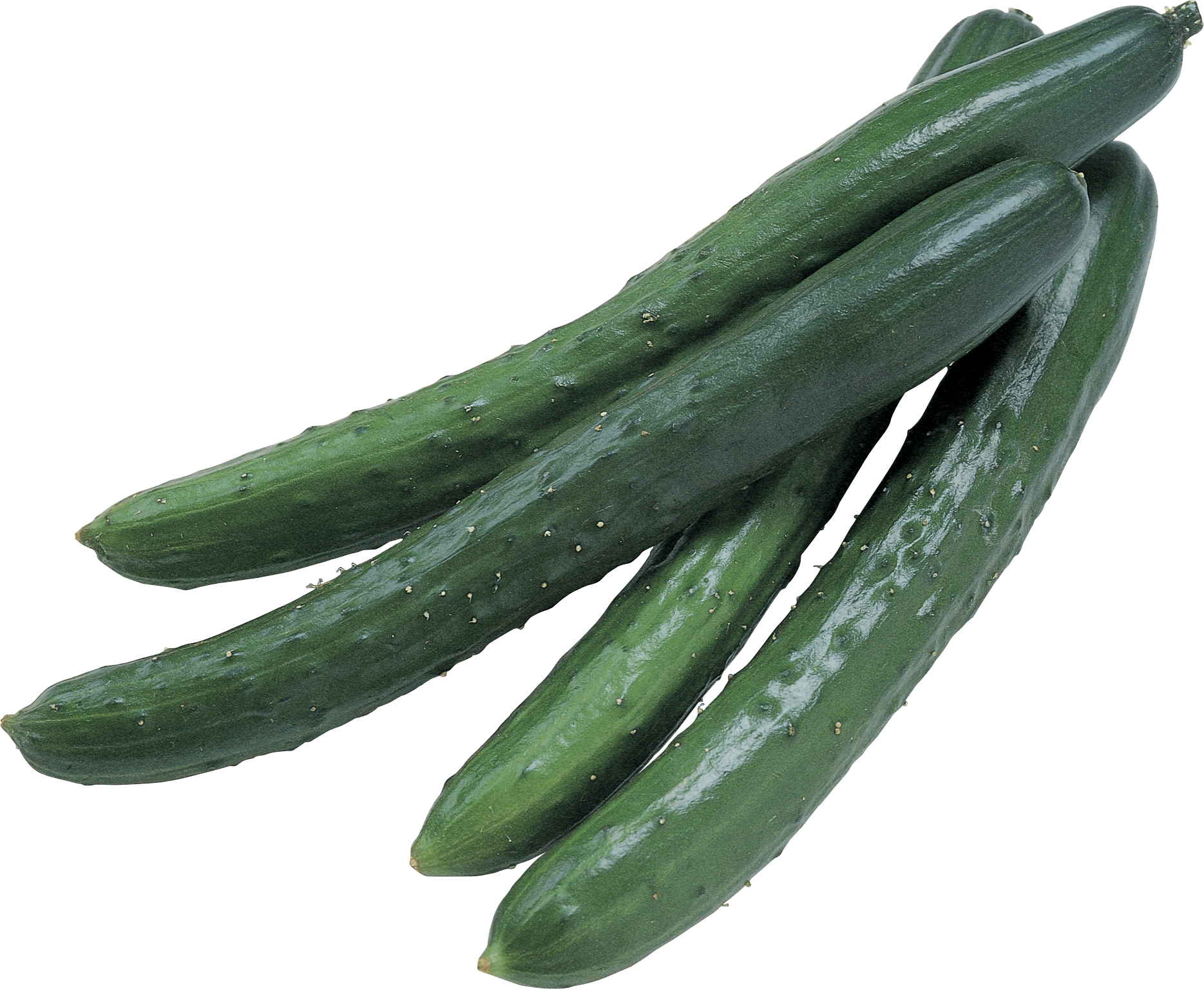 Cucumbers Png Image PNG Image