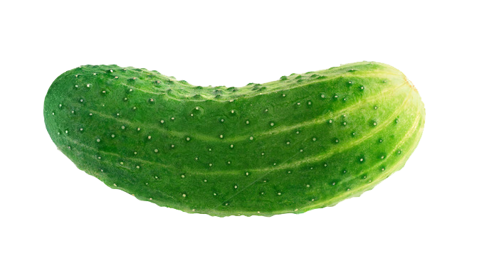 Cucumber Picture PNG Image