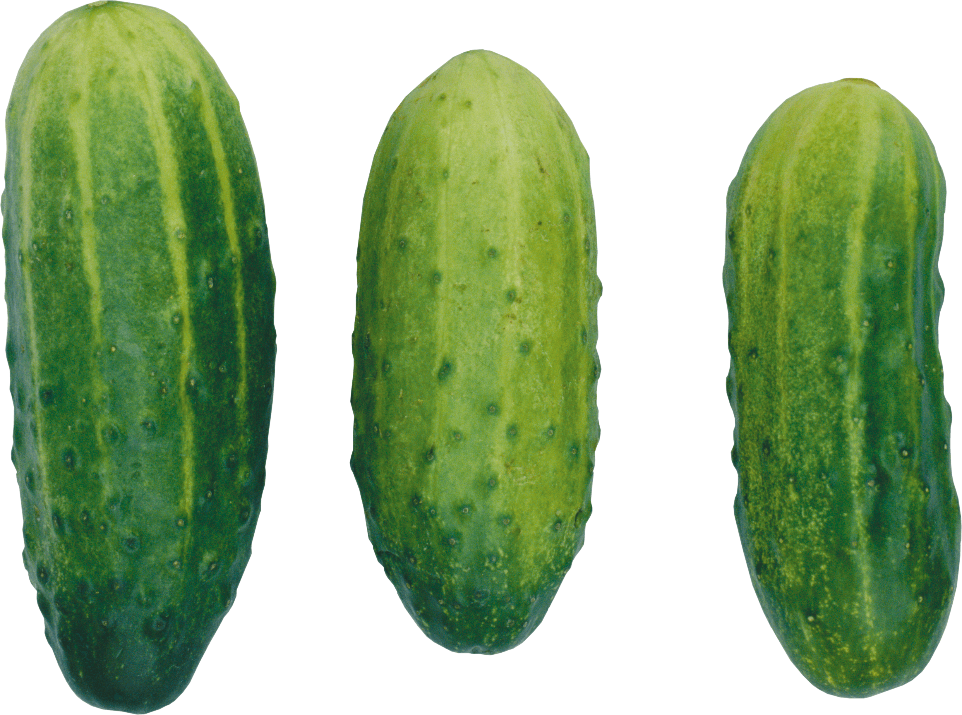 Cucumbers Png Image PNG Image