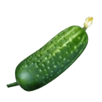 Cucumber Png Image Picture Download PNG Image