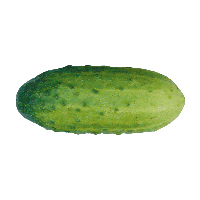 Green Cucumber Png Image Transparent PNG Image