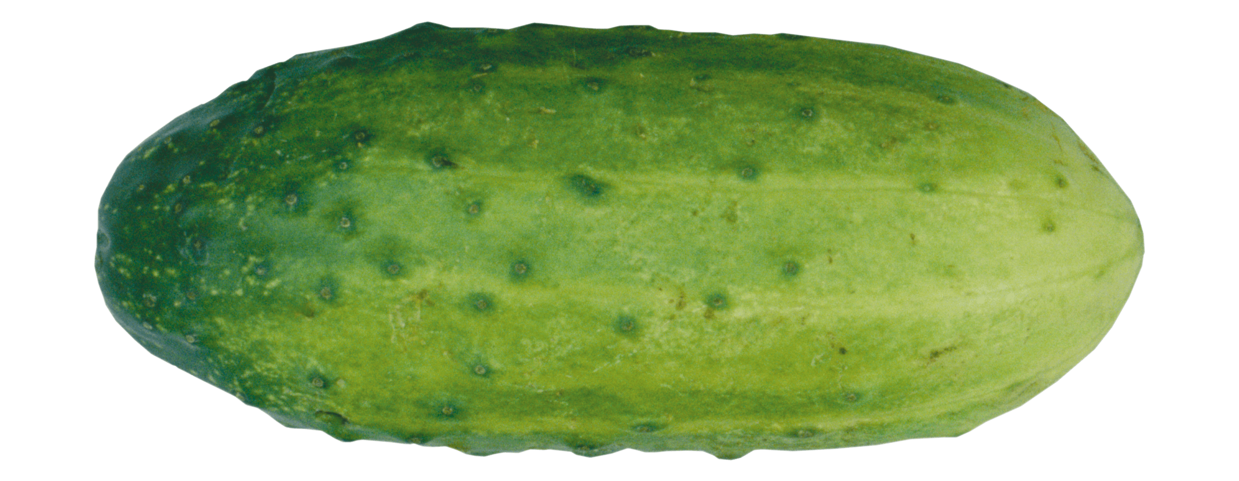 Green Cucumber Png Image PNG Image