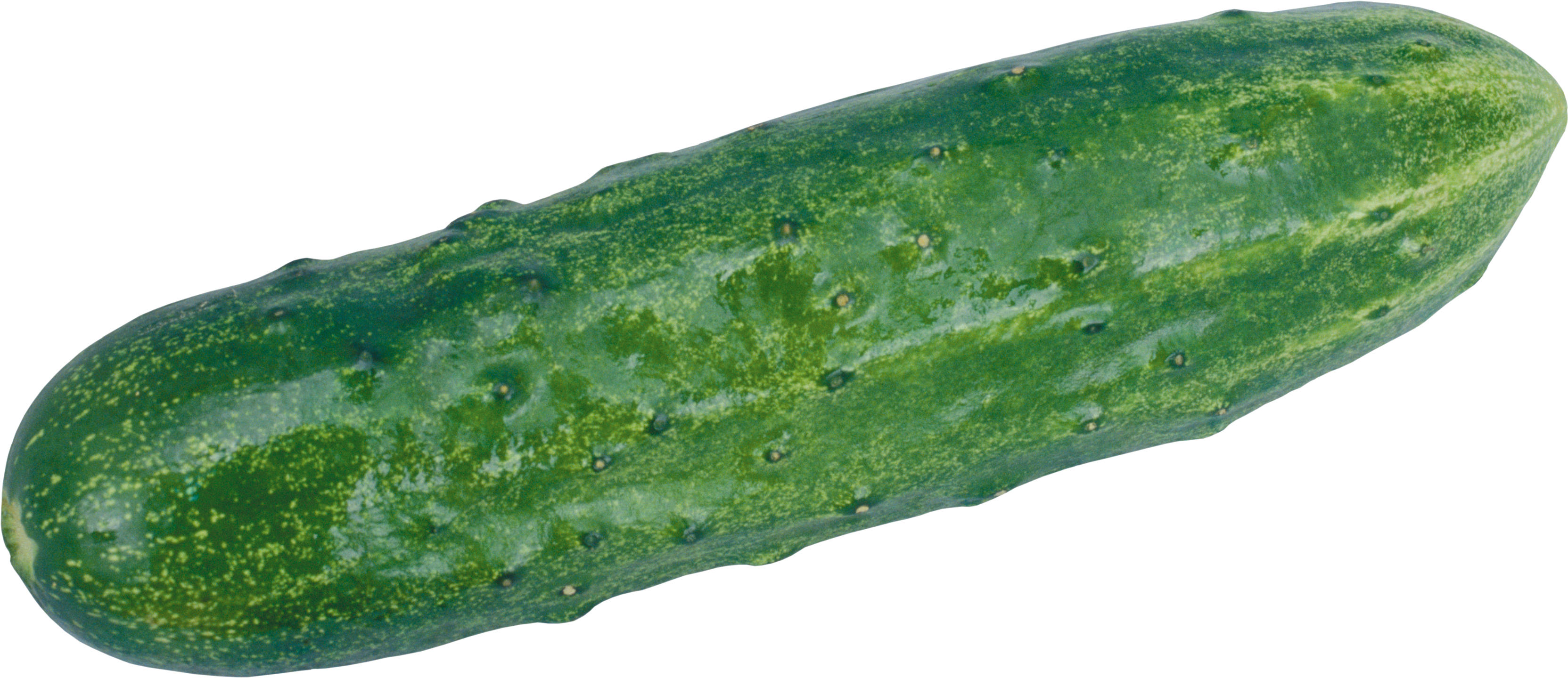 Cucumber Png Clipart Transparent PNG Image