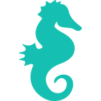 Cute Seahorse Picture PNG Image