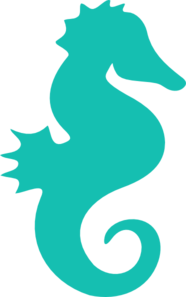 Cute Seahorse Picture PNG Image