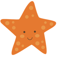 Cute Starfish Picture PNG Image