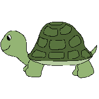 Cute Turtle Transparent