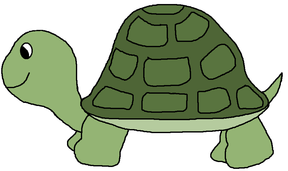 Cute Turtle Transparent PNG Image