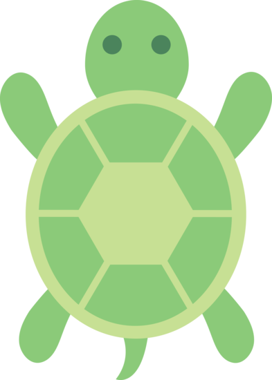 Cute Turtle Free Download PNG Image