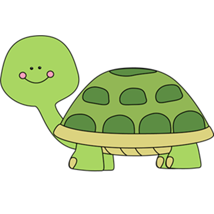 Cute Turtle Photo PNG Image