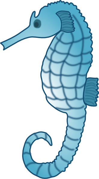 Cute Seahorse Photo PNG Image