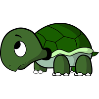 Cute Turtle Transparent Background PNG Image