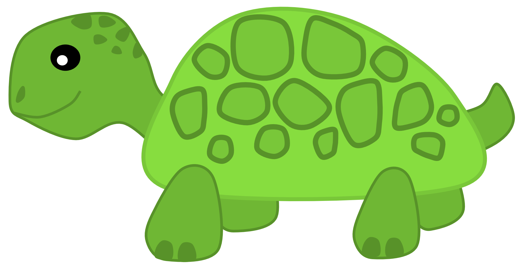 Cute Turtle Transparent Image PNG Image