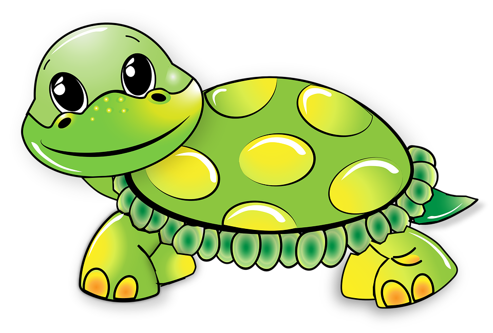 Cute Turtle Transparent Picture PNG Image