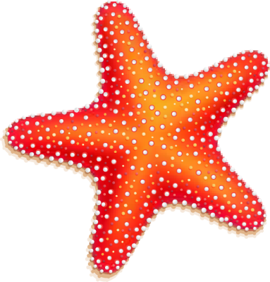 Cute Starfish File PNG Image