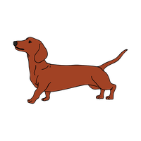 Dachshund PNG