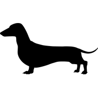 Dachshund PNG