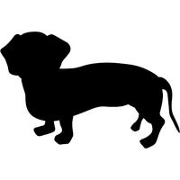 Dachshund PNG