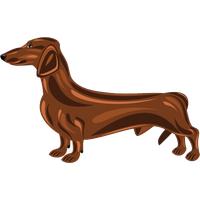 Dachshund PNG