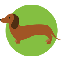 Dachshund PNG