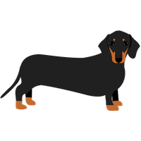 Dachshund PNG
