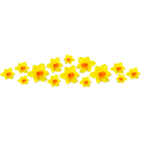 Download Daffodils Transparent HQ PNG Image | FreePNGImg