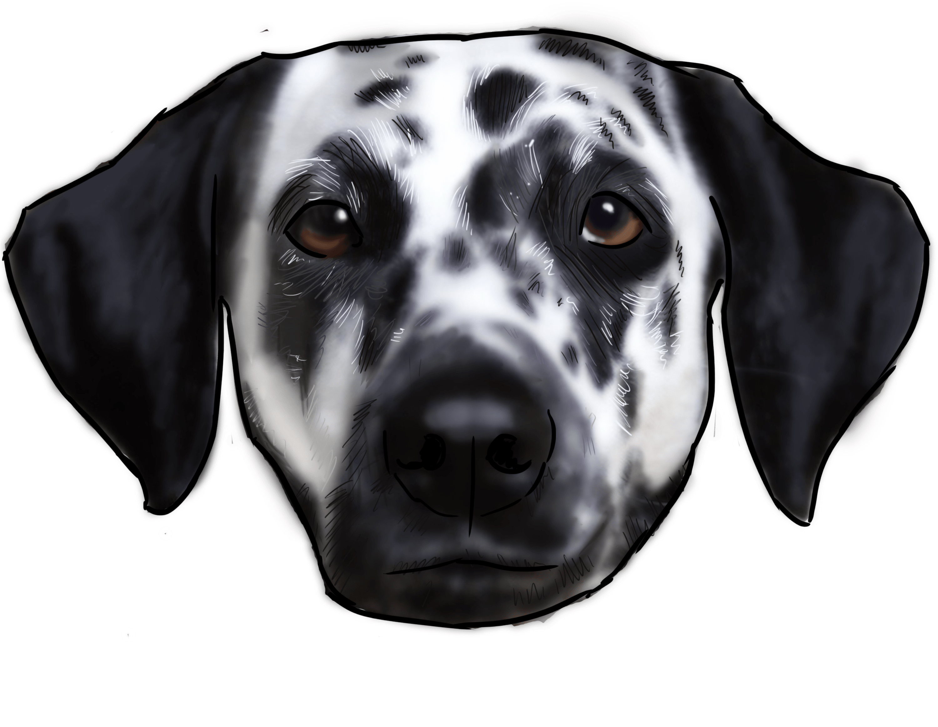 Dalmatian Transparent PNG Image