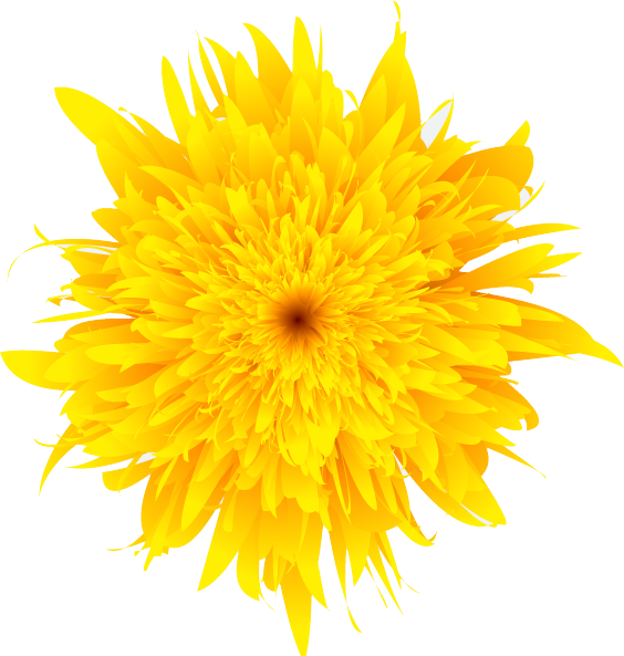 Dandelion Transparent PNG Image