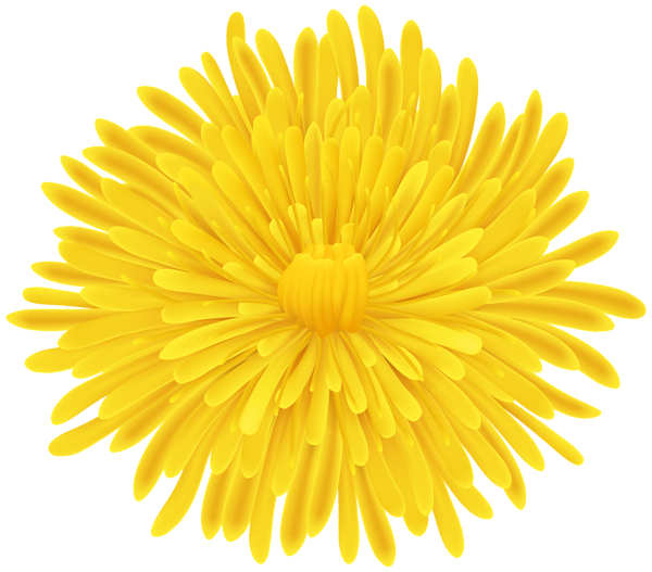 Dandelion Transparent PNG Image