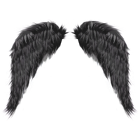 Dark Angel Png Hd PNG Image