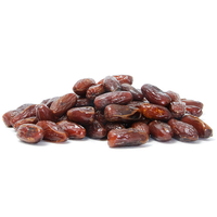 download date palm free png photo images and clipart freepngimg date palm free png photo images