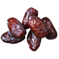 download date palm free png photo images and clipart freepngimg date palm free png photo images