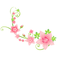 Floral Spring Decoration Photos Download HD PNG Image