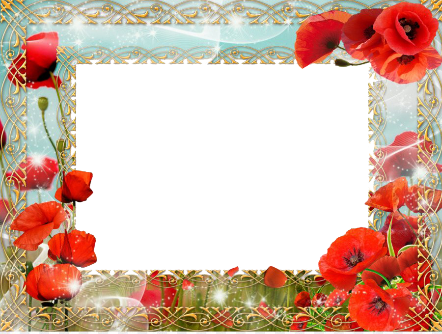 Poppy Frame Flower Free HD Image PNG Image