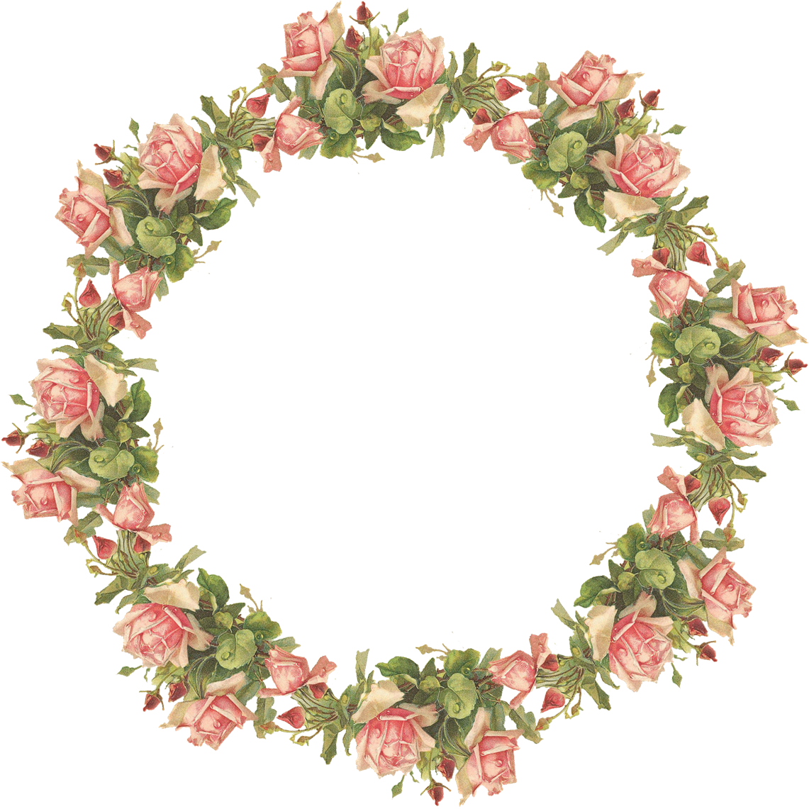 Pink Circle Flower Frame HQ Image Free PNG Image