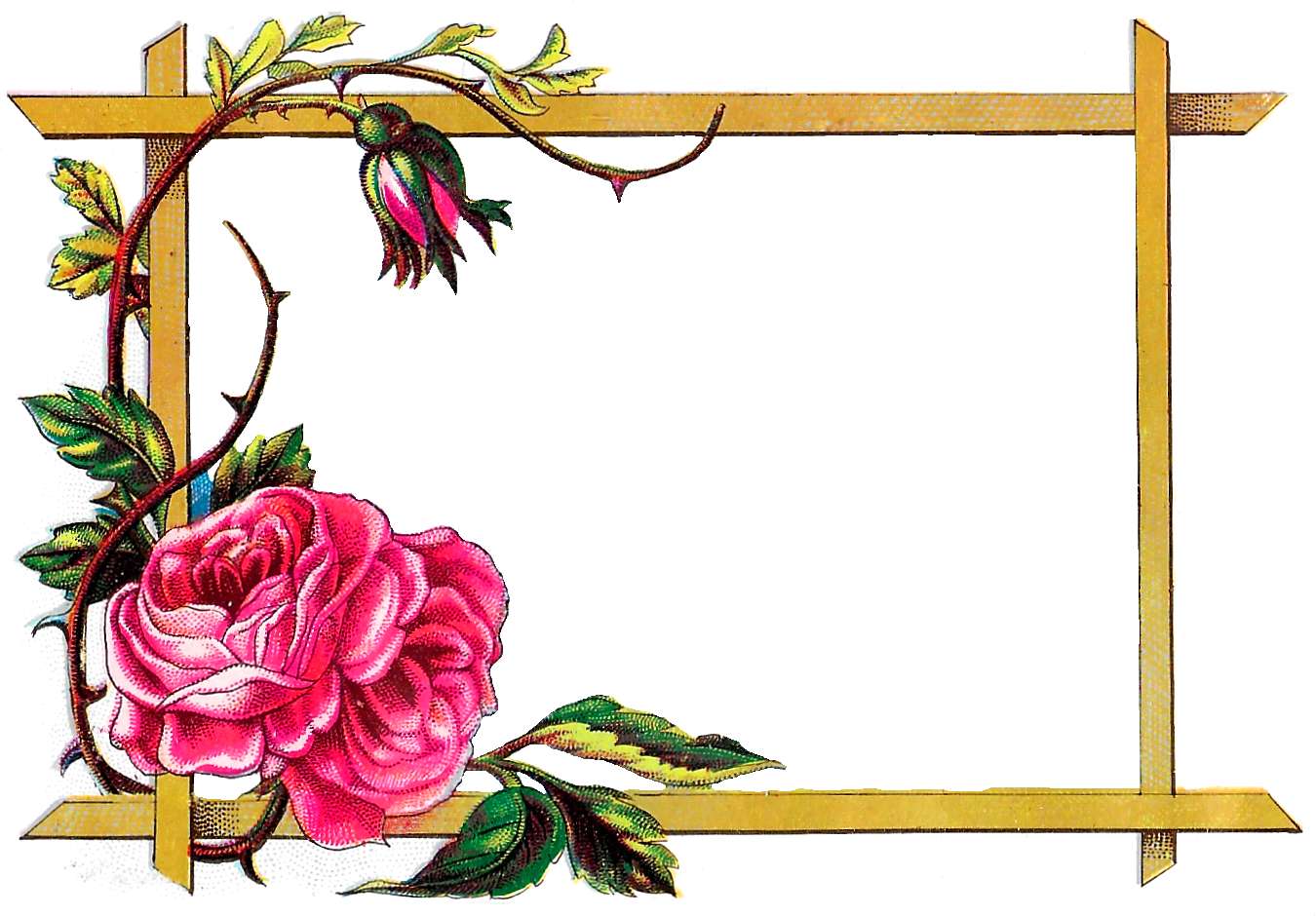 Floral Border Wedding Free Clipart HQ PNG Image