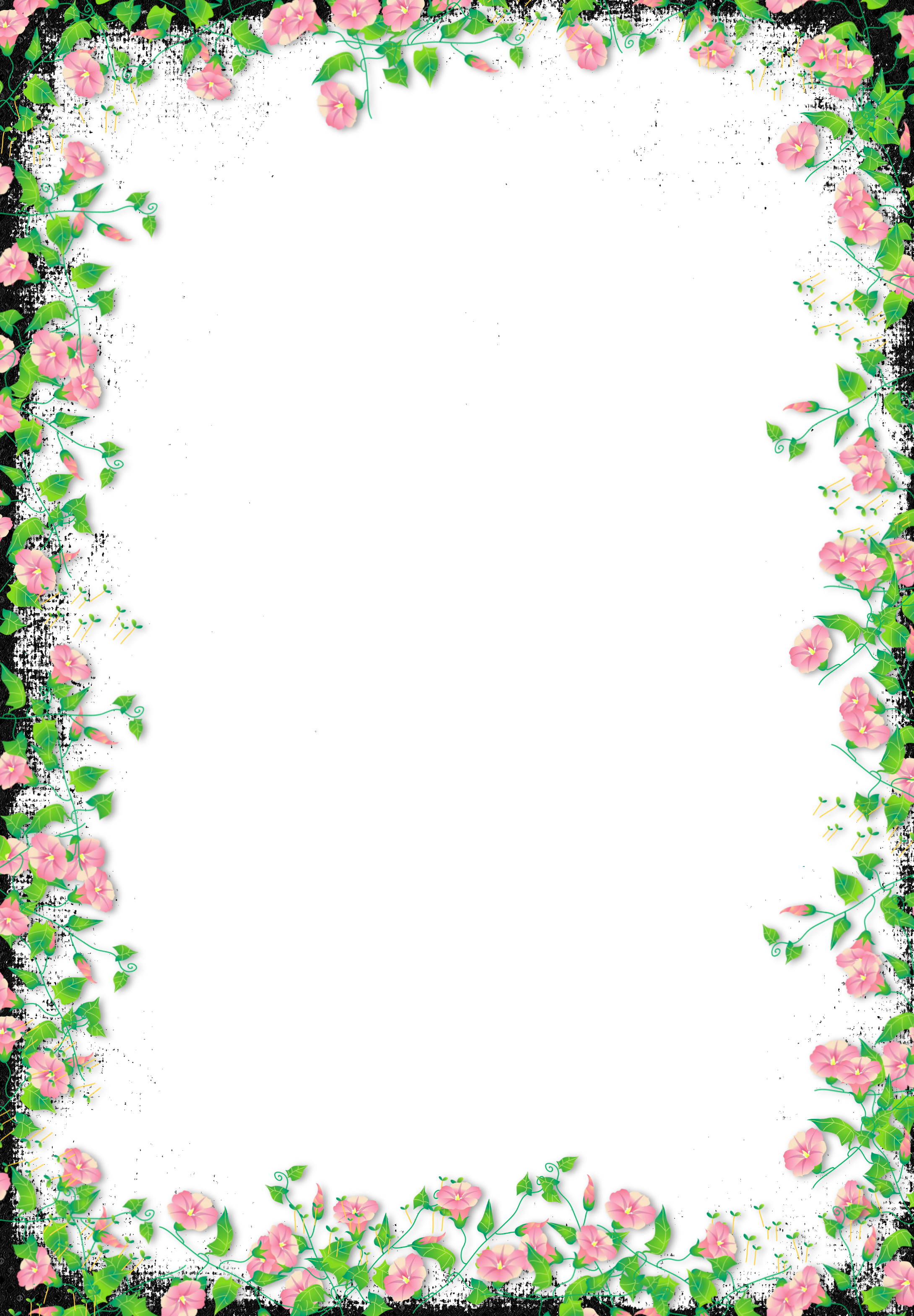 Frame Flower Border PNG Download Free PNG Image