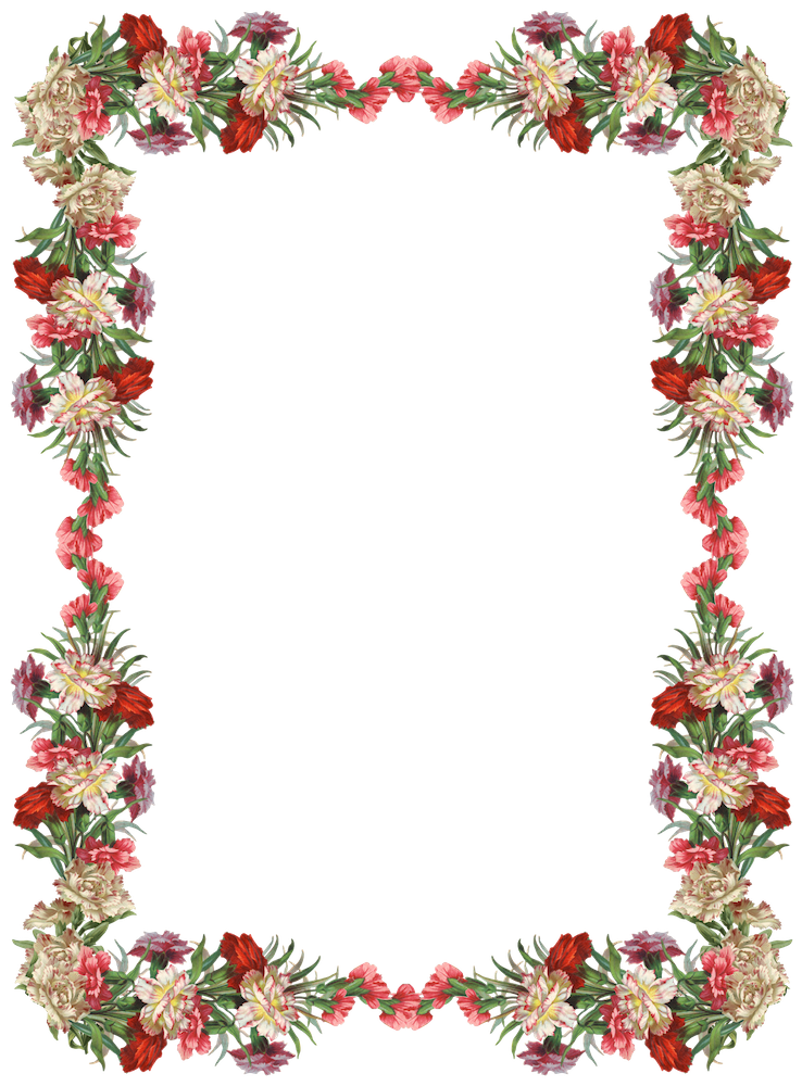 Frame Flower Border Colorful Free Photo PNG Image