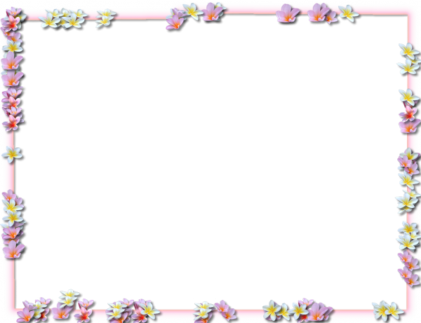 Frame Square Border Flower Free HD Image Transparent PNG Image