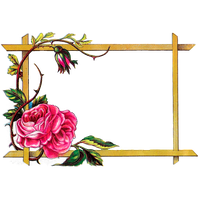Border Frame Vector Square Flower PNG