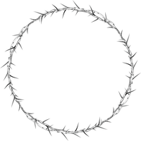 Round Frame Photos PNG