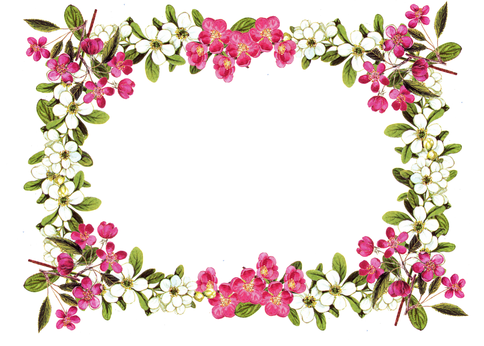 Floral Frame Image PNG Image