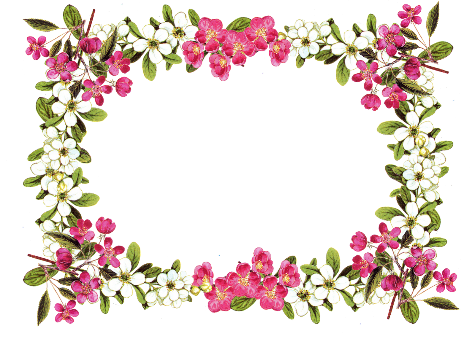 Download Floral Frame Image HQ PNG Image