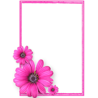 Pink Flower Frame Photos8 Transparent PNG Image
