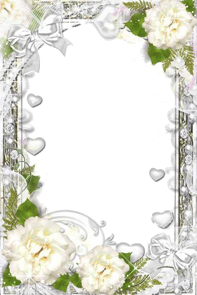 White Flower Frame Photos PNG Image